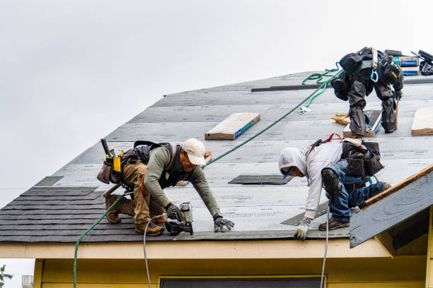 Professional Roof Installation technician working in Bloomington, IL